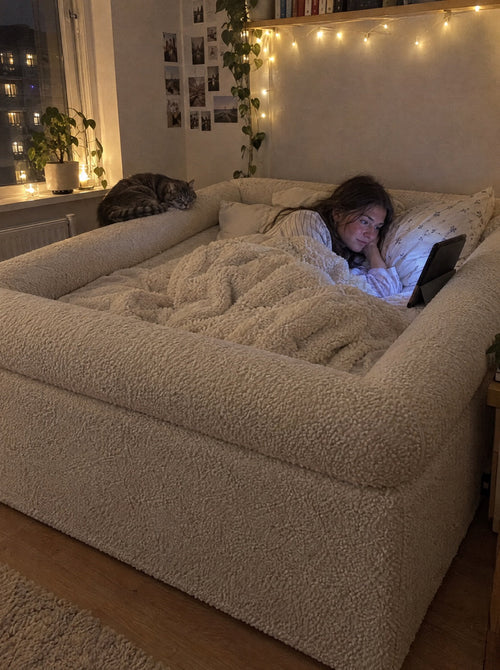 Hyggelig aften i sengen med kat på kanten